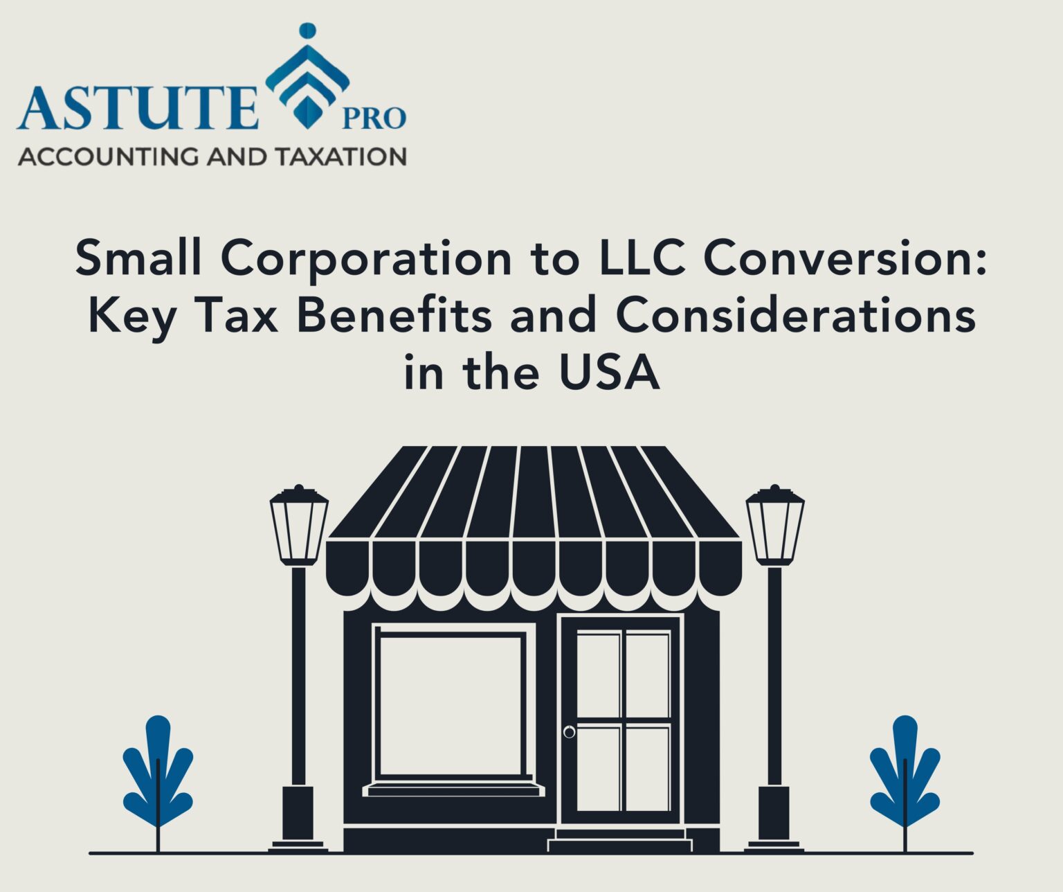 Small Corp to LLC Conversion